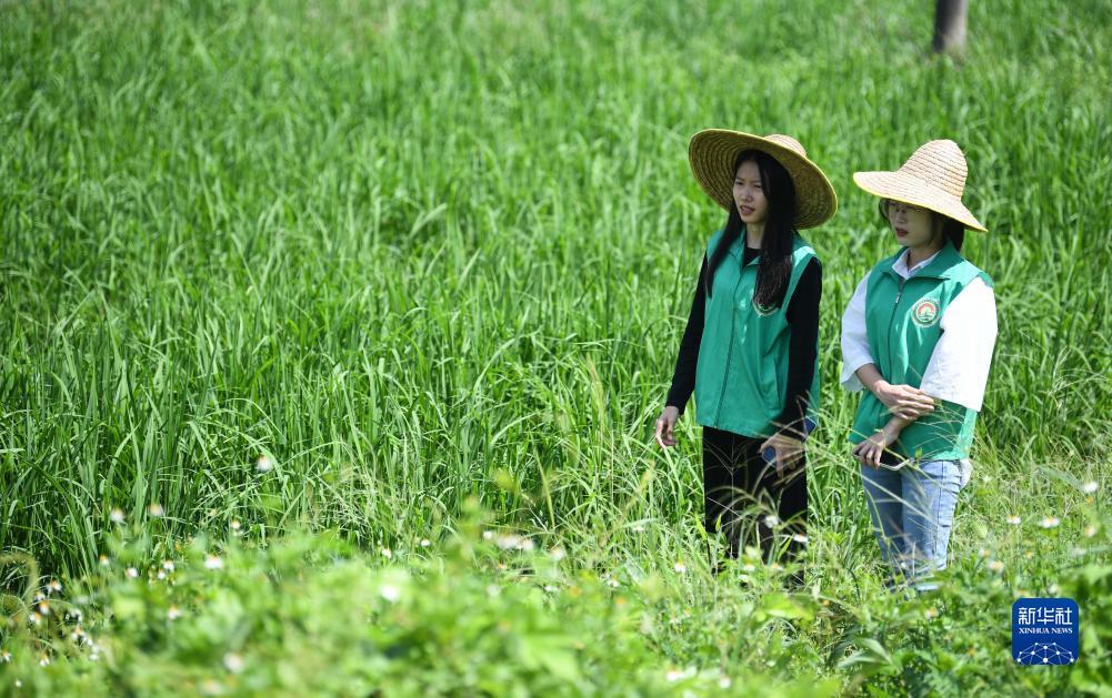 电子游戏厅下载